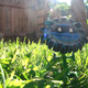 Illustration for article titled The Plants Vs. Zombies: Garden Warfare Action Figures Are Coming
